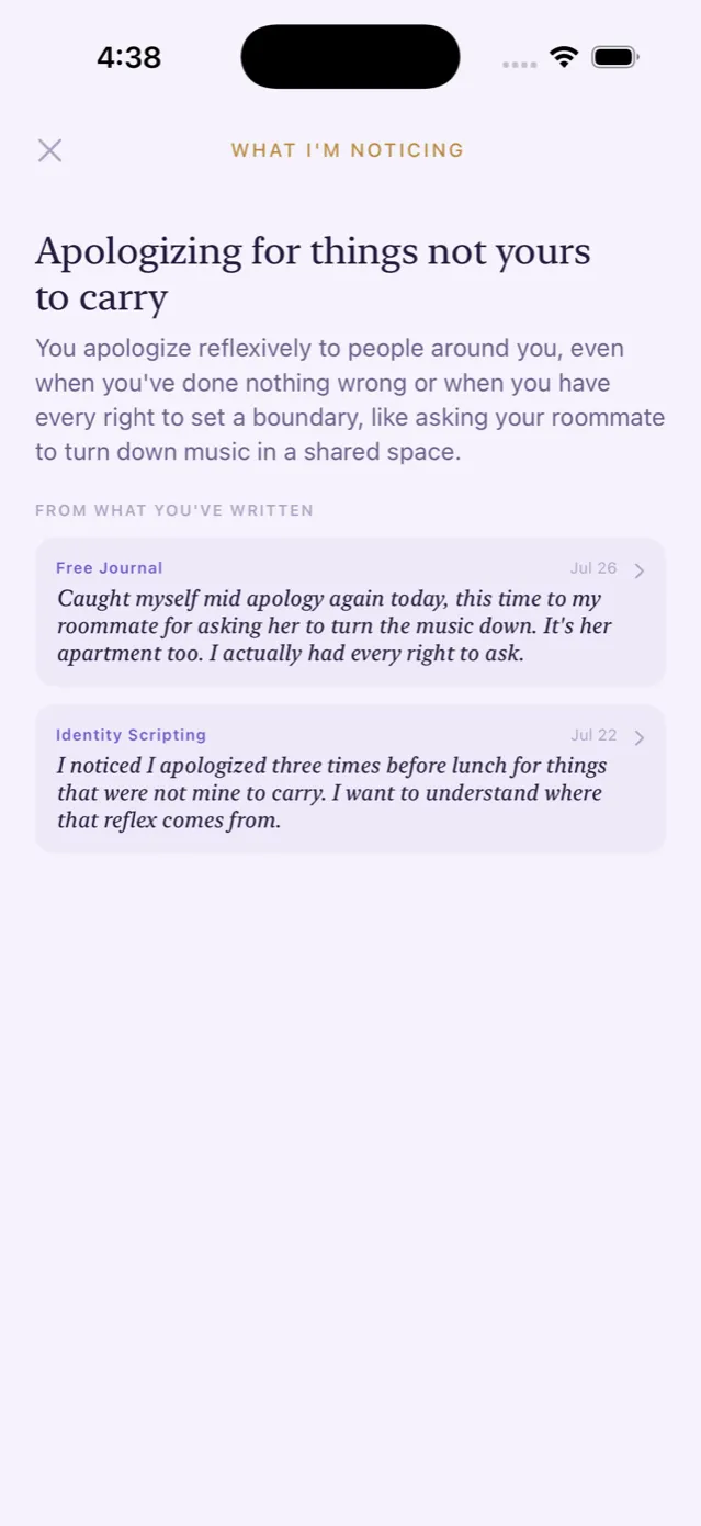 A pattern opened to reveal two of the user's own dated journal excerpts as supporting evidence.